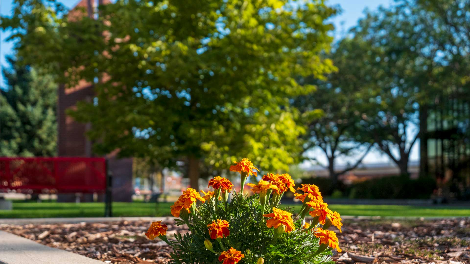 Northwest College Campus