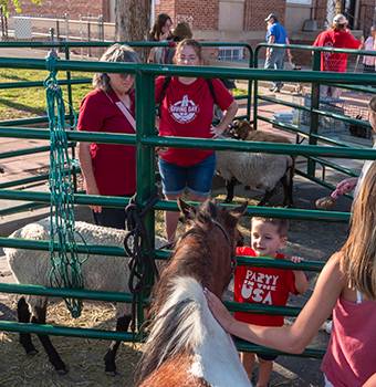 Children and adults petting a pony and sheep in a petting zoo