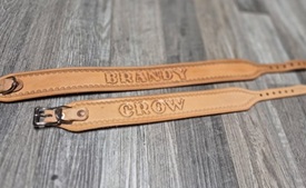 leather dog collars
